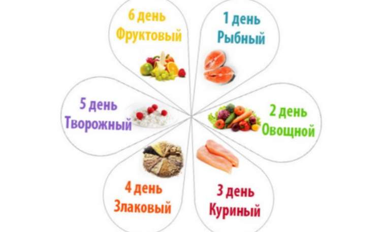 Principio de dieta de 6 pétalos