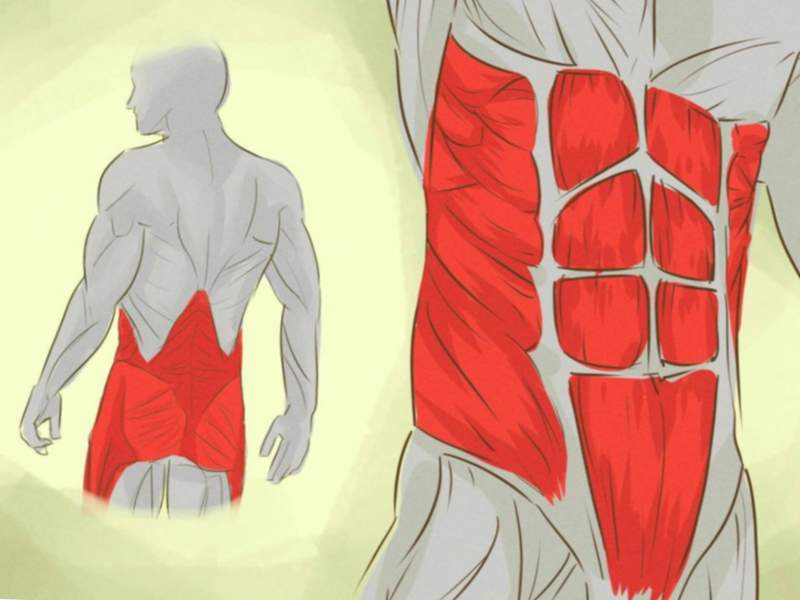 Puente para la espalda entrena los músculos centrales