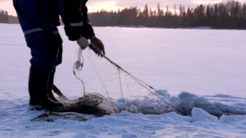 Redes de pesca de invierno.