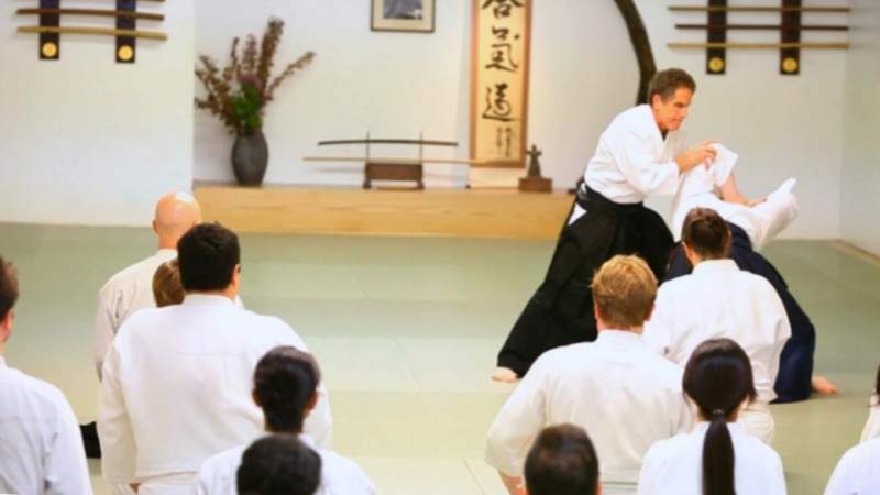 arte de aikido
