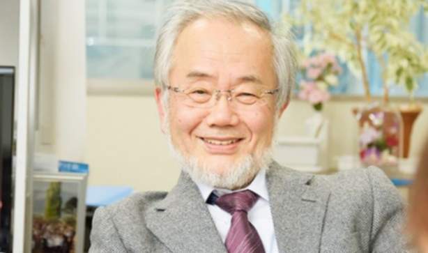 Yoshinori Osumi - Premi Nobel de Fisiologia o Medicina