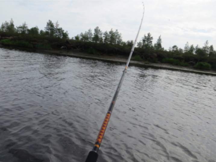 Pesca al riu Laya.