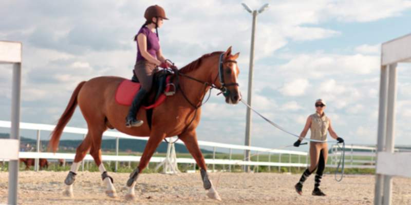 classes particulars d'equitació