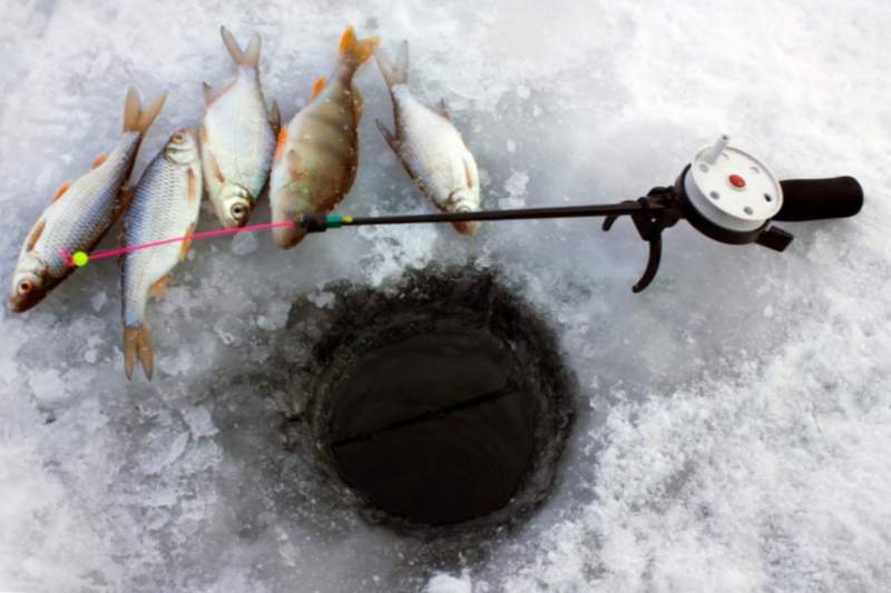 Canya de pesca per a la pesca d’hivern.