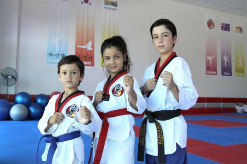 Secciones de artes marciales para niños.