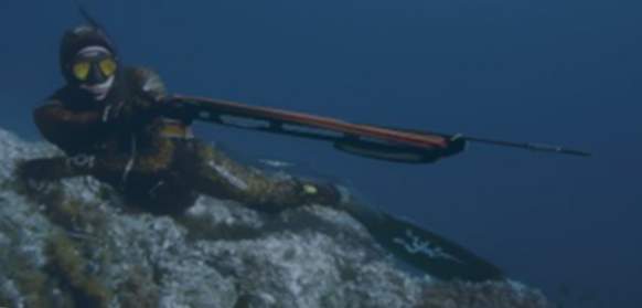Armas de pesca submarina.