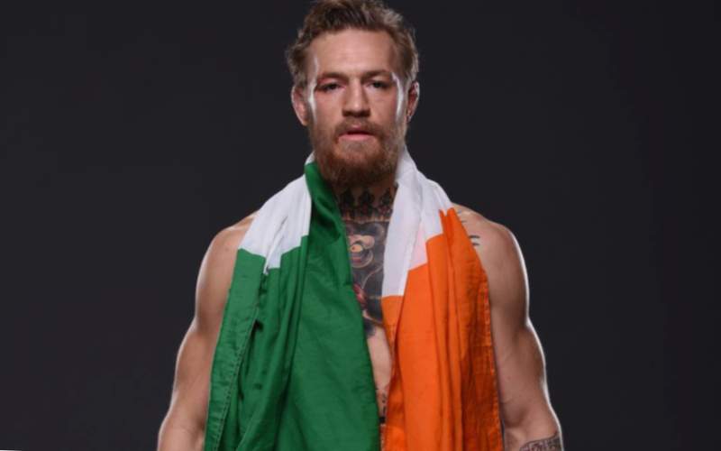 Boxeador irlandés