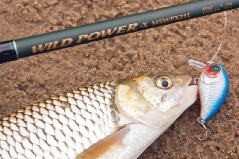 spinning rods maximus power power reviews