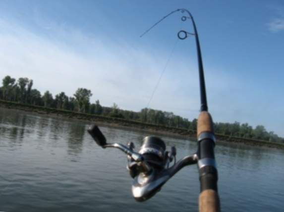 Pesca de spinning