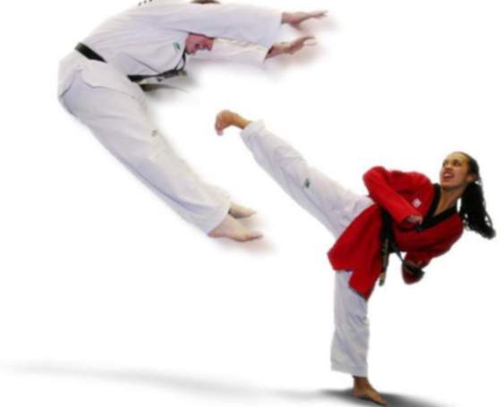 Molinillo de Taekwondo